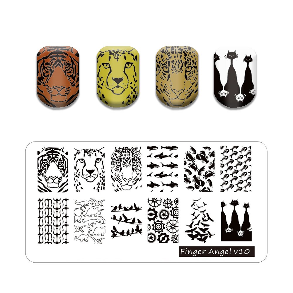 Nail Art Stamping Plates Holo Case