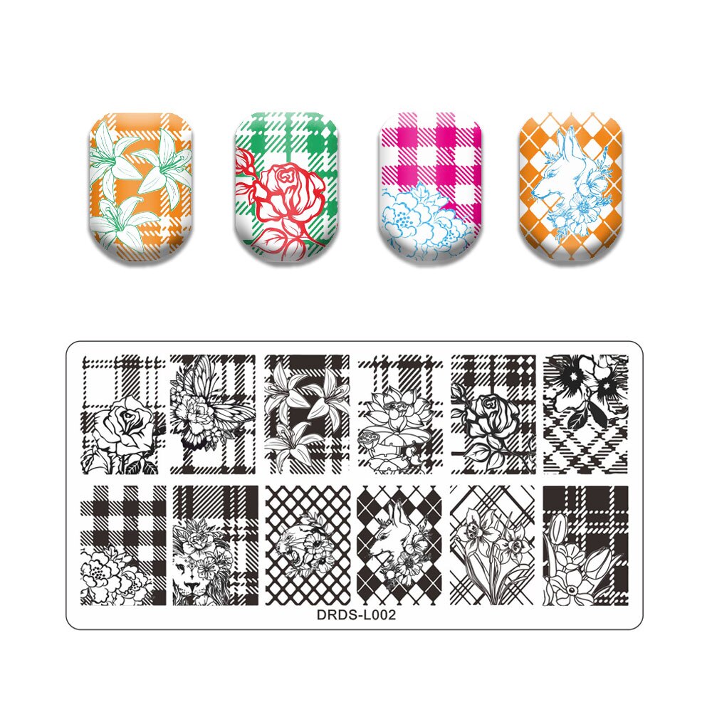 Nail Art Stamping Plates Holo Case