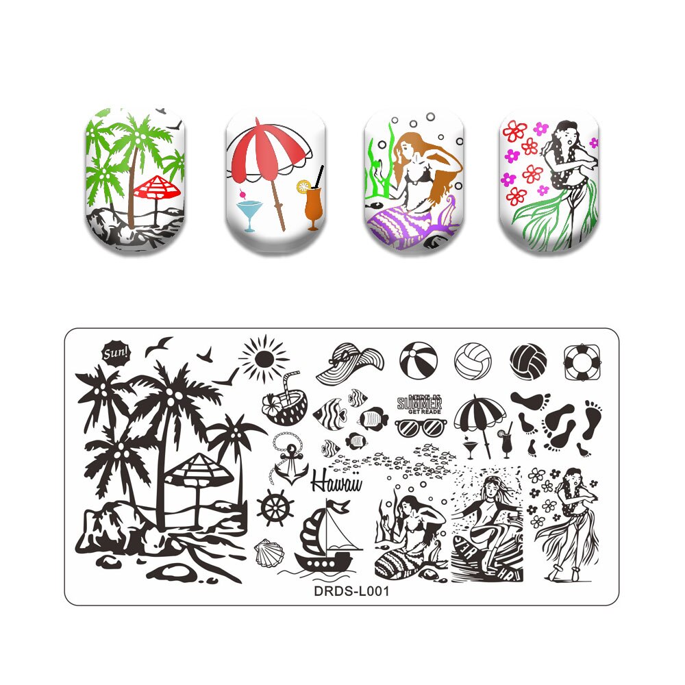 Nail Art Stamping Plates Holo Case