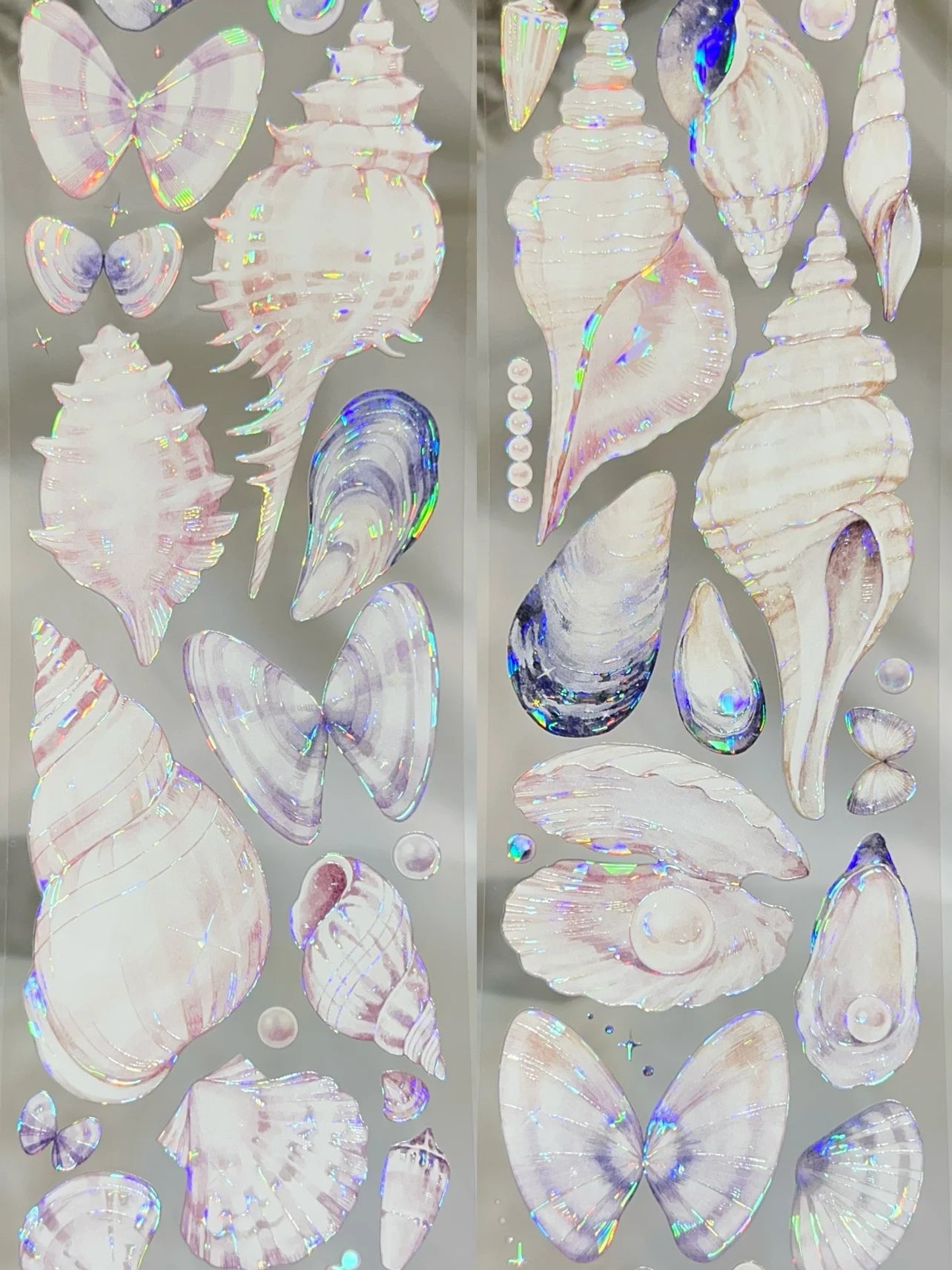 Beautiful Shells Washi Tape