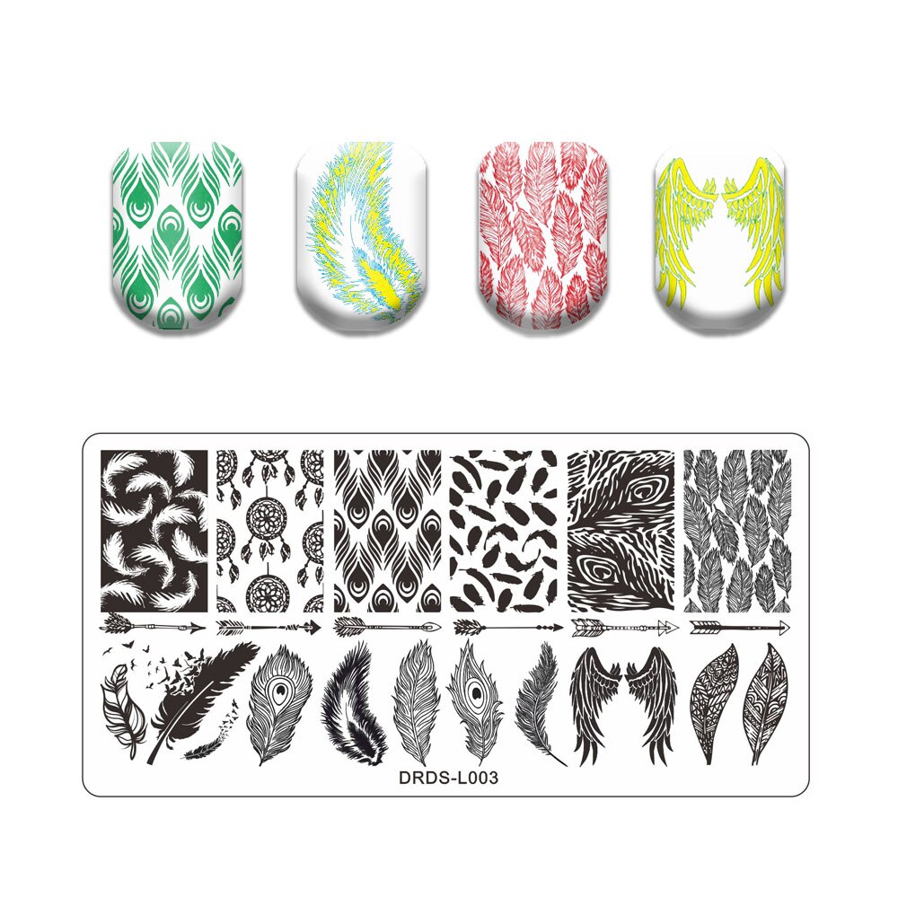 Nail Art Stamping Plates Holo Case