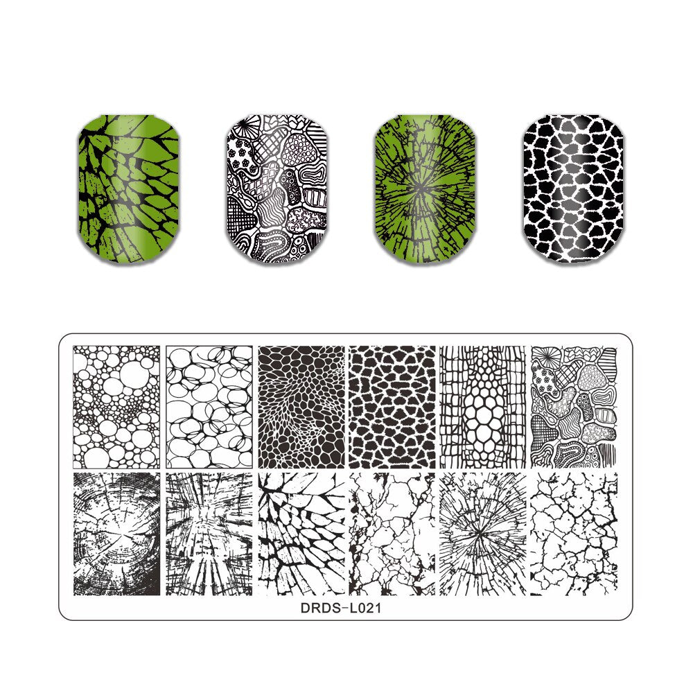 Nail Art Stamping Plates Holo Case