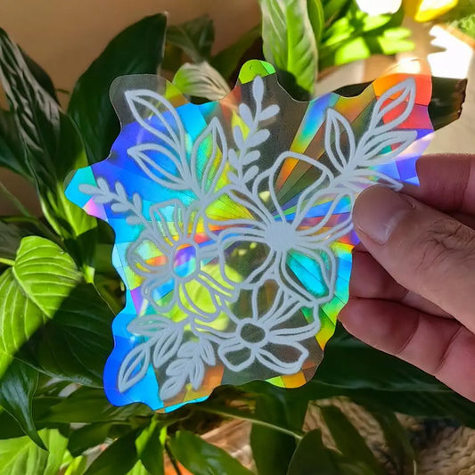 Holo Nature Sun Catchers