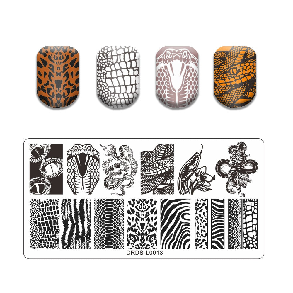 Nail Art Stamping Plates Holo Case