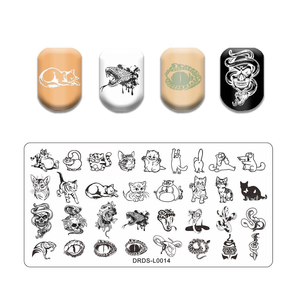 Nail Art Stamping Plates Holo Case